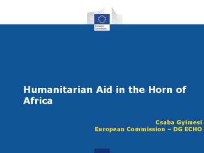 Humanitarian Aid in the Horn of Africa Csaba Gyimesi European Commission – DG ECHO  Overview