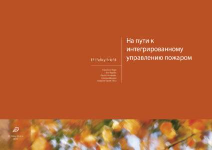 EFI Policy Brief 4  На пути к интегрированному управлению пожаром