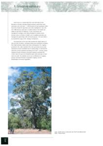 3. Executive summary  Tuart occurs in a coastal strip from near Jurien Bay to near Busselton in Western Australia. Before European arrival there were estimated to be more than 111,600 hectares of tuart woodlands. Most ha