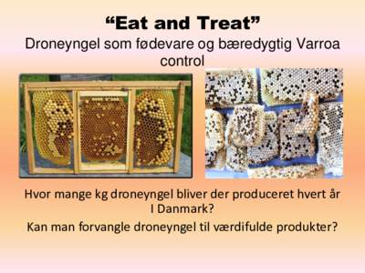 “Eat and Treat” Droneyngel som fødevare og bæredygtig Varroa control Hvor mange kg droneyngel bliver der produceret hvert år I Danmark?