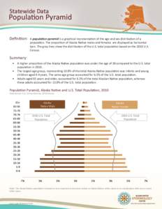 Statewide Data  Population Pyramid Definition:  A population pyramid is a graphical representation of the age and sex distribution of a