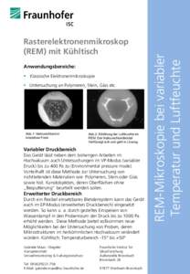 Anwendungsbereiche:  Klassische Elektronenmikroskopie  Untersuchung an Polymeren, Stein, Glas etc. Abb.1: Natriumchlorid in kristalliner Form