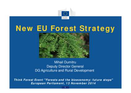 New EU Forest Strategy  Mihail Dumitru Deputy Director General DG Agriculture and Rural Development Think Forest Event 