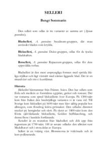 SELLERI Bengt Sommarin Den selleri som odlas är tre varianter av samma art (Apium graveolens); Bladselleri, A. graveolens Secalinum-gruppen, där man använder bladen som krydda.