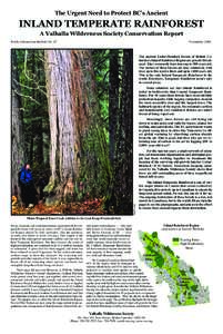 The Urgent Need to Protect BC’s Ancient  INLAND TEMPERATE RAINFOREST A Valhalla Wilderness Society Conservation Report  Public Information Bulletin No. 47