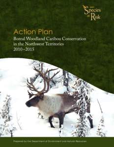 Action Plan  Boreal Woodland Caribou Conservation in the Northwest Territories 2010 –2015
