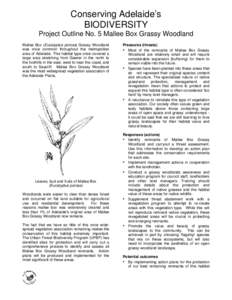 Conserving Adelaide’s BIODIVERSITY Project Outline No. 5 Mallee Box Grassy Woodland Mallee Box (Eucalyptus porosa) Grassy Woodland was once common throughout the metropolitan area of Adelaide. This habitat type once co