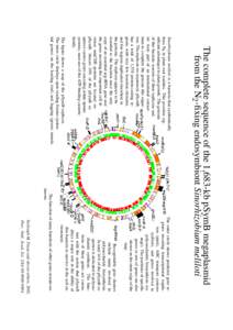 Molecular biology / Microbiology / Molecular genetics / Sinorhizobium meliloti / Plasmid / Gene / Non-coding RNA / Transfer RNA / Small non-coding RNAs in the endosymbiotic diazotroph α-proteobacterium Sinorhizobium meliloti / Biology / Genetics / RNA