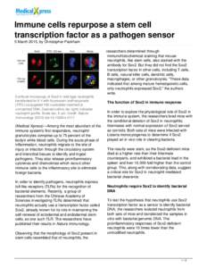 Immune cells repurpose a stem cell transcription factor as a pathogen sensor