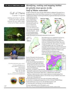 U.S. Fish and Wildlife Service Update  Gulf of Maine Coastal Program  Building partnerships to identify,