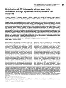 Distribution of CD133 reveals glioma stem cells self-renew through symmetric and asymmetric cell divisions