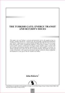 THE TURKISH GATE: ENERGY TRANSIT AND SECURITY ISSUES