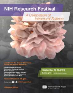 NIH Research Festival Image provided by Sriram Subramaniam, NCI A Celebration of Intramural Science
