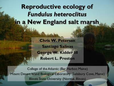 Reproductive ecology of Fundulus heteroclitus in a New England salt marsh Chris W. Petersen Santiago Salinas George W. Kidder III