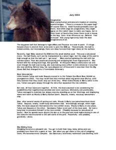 July 2004 Imagination Most young human primates are masters at creating mental images. “There’s a mouse in the paper bag!” Of course there is. Adult humans probably won’t go there. And while dogs are pragmatists,