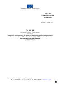 Comitato economico e sociale europeo  NAT/263 Gestione dei rischi di inondazione Bruxelles, 9 febbraio 2005