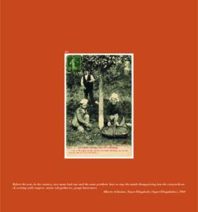 203  Before the war, in the country, two aunts had one and the same problem: how to stop the maids disappearing into the vineyards each evening with reapers, maize cob gatherers, grape harvesters. Alberto Arbasino, Super