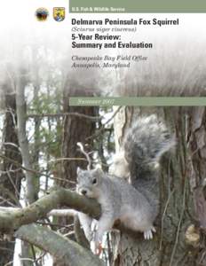 Endangered Species Act / Distinct population segment / Sciurus / Zoology / Environment of the United States / Biology / Tree squirrels / Delmarva fox squirrel / Fox squirrel
