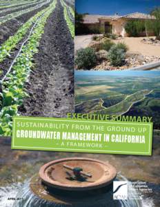 Executive Summary  S u s ta in a b il it y f r o m the ground up  groundwater management in c