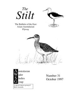 Zoology / Limosa / Shorebirds / Calidris / Australasian Wader Studies Group / Stilt / Bar-tailed Godwit / Black-tailed Godwit / Clive Minton / Birds of Australia / Ornithology / Birds of Western Australia