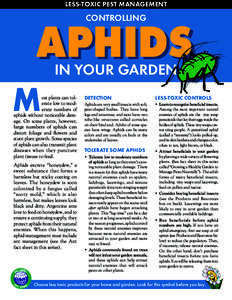 Less-Toxic Pest Management  controlling Aphids In Your garden