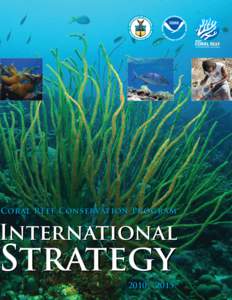 NOAA Coral Reef Conservation Program International Strategy[removed]