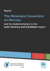 Report  The Minamata Convention on Mercury and its implementation in the Latin America and Caribbean region