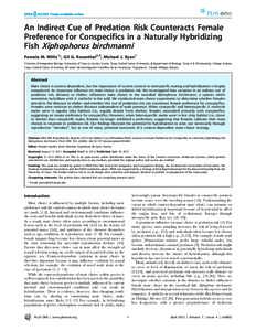 An Indirect Cue of Predation Risk Counteracts Female Preference for Conspecifics in a Naturally Hybridizing Fish Xiphophorus birchmanni Pamela M. Willis1*, Gil G. Rosenthal2,3, Michael J. Ryan1 1 Section of Integrative B