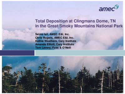 Total Deposition at Clingmans Dome, TN in the Great Smoky Mountains National Park Selma Isil, AMEC E&I, Inc. Chris Rogers, AMEC E&I, Inc. Kathie Weathers, Cary Institute Amanda Elliott, Cary Institute
