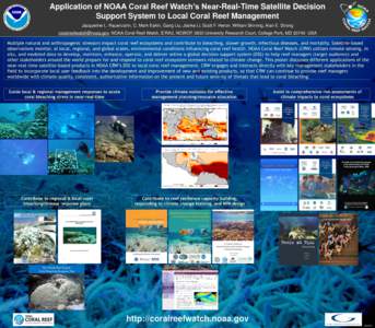 Coastal geography / Coral bleaching / Resilience of coral reefs / Reef Check / Coral / Human impact on coral reefs / Coral Triangle / Coral reefs / Water / Physical geography