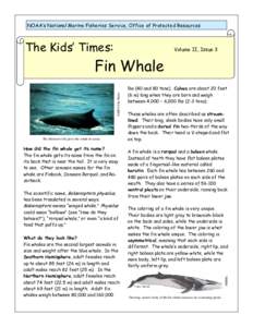 NOAA’s National Marine Fisheries Service, Office of Protected Resources  The Kids’ Times: Volume II, Issue 3