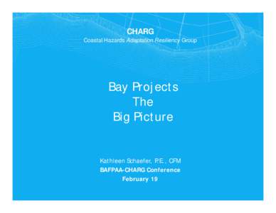 Microsoft PowerPoint - Schaefer - Bay Projects
