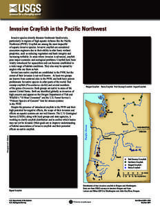 Invasive Crayfish in the Pacific Northwest  Ringed Crayfish Rusty Crayfish Red Swamp Crawfish Signal Crayfish Seattle