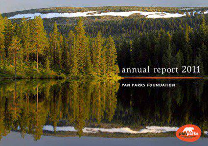 1  annual report 2011
