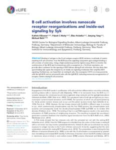 RESEARCH ARTICLE  elifesciences.org B cell activation involves nanoscale receptor reorganizations and inside-out