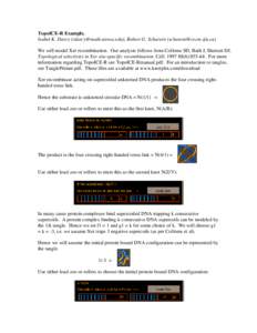 Microsoft Word - TopoICE-Rexamples.doc