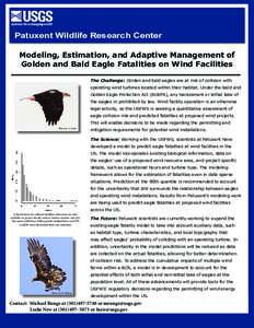 Nationality / Bald and Golden Eagle Protection Act / Conservation in the United States / Bald Eagle / Wind farm / Eagle Transporter / Eagle / Ornithology / Culture / Eagles / Wind power / Haliaeetus