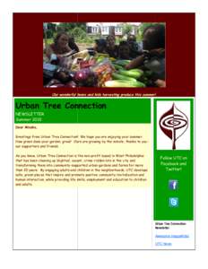 Our wonderful teens and kids harvesting produce this summer!  Urban Tree Connection NEWSLETTER Summer 2010 Dear Misako,