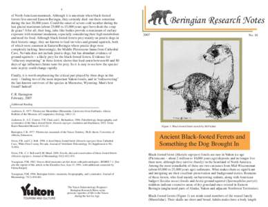 Ferrets / Asia / Geography of North America / Zoology / Mustelidae / Beringia / Meeteetse /  Wyoming / Prairie dog / Prairies / Weasels / Black-footed ferret