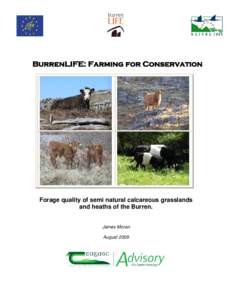 Agriculture / Behavior / Zoology / Centaurea / Cynosurus / Grazing