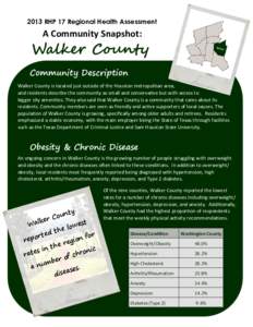 2013 RHP 17 Regional Health Assessment  A Community Snapshot: Walker County Community Description