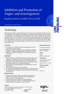 Inhibition and Promotion of Angio- and Arteriogenesis Regulatory function of miRNA-100 via mTOR Albert-Ludwigs-Universität Freiburg  Technology