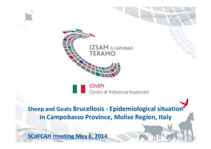 Sheep and Goats Brucellosis - Epidemiological situation  in Campobasso Province, Molise Region, Italy SCoFCAH meeting May 6, 2014  Regions of Italy officially free from
