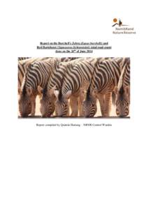 Report on the Burchell’s Zebra (Equus burchelli) and Red Hartebeest (Sigmoceros lichtensteinii) total road count done on the 24th of June 2014 Report compiled by Quintin Hartung – NRNR Control Warden
