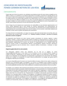 CONCURSO DE INVESTIGACIÓN FONDO GERMÁN BOTERO DE LOS RÍOS Convocatoria 2014 El gran auge que tuvieron los precios y las cantidades exportadas por parte del sector minero energético en los últimos 10 años no se mani