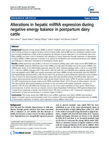 Exploring the gonad transcriptome of two extreme male pigs with RNA-seq