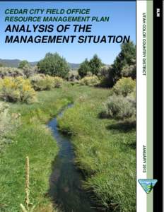 ANALYSIS OF THE MANAGEMENT SITUATION UTAH COLOR COUNTRY DISTRICT  CEDAR CITY FIELD OFFICE