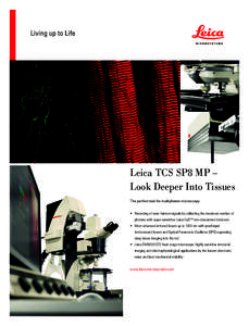 Leica TCS SP8 MP – Look Deeper Into Tissues The perfect tool for multiphoton microscopy • Recording of even faintest signals by collecting the maximum number of photons with super-sensititve Leica HyDTM non-descanned