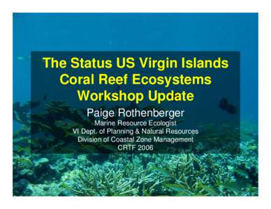 The Status US Virgin Islands Coral Reef Ecosystems Workshop Update Paige Rothenberger Marine Resource Ecologist VI Dept. of Planning & Natural Resources