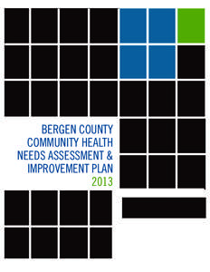 BERGEN COUNTY COMMUNITY HEALTH NEEDS ASSESSMENT & IMPROVEMENT PLAN 2013